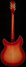 Rickenbacker 360/12 C63, Fireglo: Full Instrument - Rear