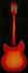 Rickenbacker 360/12 C63, Fireglo: Full Instrument - Rear