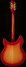 Rickenbacker 360/12 C63, Fireglo: Full Instrument - Rear
