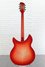 Rickenbacker 360/12 C63, Fireglo: Full Instrument - Rear