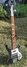 Rickenbacker 4003/4 , Jetglo: Full Instrument - Front