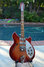 Rickenbacker 370/6 , Fireglo: Full Instrument - Front