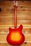 Rickenbacker 360/6 , Fireglo: Full Instrument - Rear