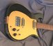 Rickenbacker 450/6 Mod, Black: Close up - Free2