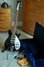 Rickenbacker 350/6 Mod, Jetglo: Free image2