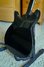 Feb 1984 Rickenbacker 350/6 Mod, Jetglo: Body - Rear