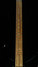 Rickenbacker 330/6 , Jetglo: Neck - Front