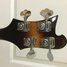 Rickenbacker 4003/4 , MonteBrown: Headstock - Rear