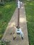 Rickenbacker 4003/4 S, Mapleglo: Full Instrument - Front