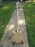 Rickenbacker 4003/4 S, Mapleglo: Full Instrument - Rear