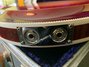 Rickenbacker 381/12 V69, Fireglo: Close up - Free