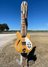 Rickenbacker 360/12 , Mapleglo: Full Instrument - Front