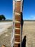 Rickenbacker 360/12 , Mapleglo: Neck - Front