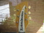 Rickenbacker 950/6 Tulip, Natural: Free image