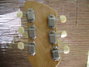 Rickenbacker 950/6 Tulip, Natural: Headstock - Rear