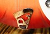 Rickenbacker 330/12 , Fireglo: Close up - Free2