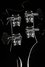 Rickenbacker 4003/4 , Jetglo: Headstock - Rear