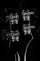 Rickenbacker 4003/4 , Jetglo: Headstock - Rear
