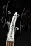 Rickenbacker 4003/4 , Jetglo: Headstock