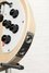 Rickenbacker 4003/4 , Mapleglo: Close up - Free