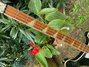Rickenbacker 4001/4 , Jetglo: Neck - Front