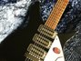 Rickenbacker 325/6 C64, Jetglo: Close up - Free2