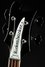 Rickenbacker 4003/4 , Jetglo: Headstock