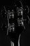 Rickenbacker 4003/4 , Jetglo: Headstock - Rear
