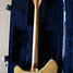Rickenbacker 360/6 , Mapleglo: Neck - Rear