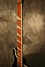 Rickenbacker 660/6 75th Ann, DCMetallic: Neck - Front