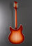 Rickenbacker 360/12 C63, Fireglo: Full Instrument - Rear