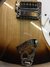Rickenbacker 330/12 , MonteBrown: Free image