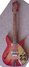 Rickenbacker 310/6 Capri, Fireglo: Neck - Front
