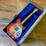 Rickenbacker 366/12 , Fireglo: Full Instrument - Front