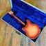 Rickenbacker 366/12 , Fireglo: Full Instrument - Rear