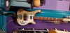 Rickenbacker 4003/4 , Mapleglo: Full Instrument - Front