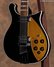 Rickenbacker 660/12 , Jetglo: Body - Front