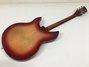 Rickenbacker 330/6 , Fireglo: Full Instrument - Rear