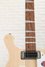 Rickenbacker 620/6 , Mapleglo: Neck - Front