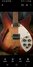 Rickenbacker 330/6 , Fireglo: Body - Front