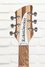 Rickenbacker 330/6 , Mapleglo: Headstock