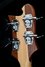 Rickenbacker 4003/4 , Mapleglo: Headstock - Rear