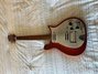 Rickenbacker 450/6 Combo, Fireglo: Full Instrument - Front