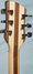 Rickenbacker 360/6 , Natural Walnut: Headstock - Rear