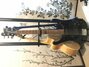 Rickenbacker 4003/5 BT, Jetglo: Close up - Free2