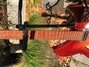 Rickenbacker 330/12 , Fireglo: Neck - Front