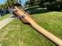 Rickenbacker 4004/4 Laredo, Mapleglo: Headstock - Rear