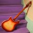 Rickenbacker 360/12 , Fireglo: Full Instrument - Rear