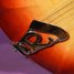 Rickenbacker 360/12 , Fireglo: Close up - Free2