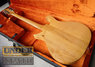 Rickenbacker 450/6 Refin, Fireglo: Full Instrument - Rear